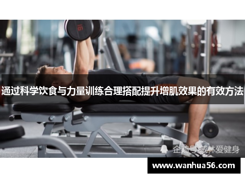 通过科学饮食与力量训练合理搭配提升增肌效果的有效方法