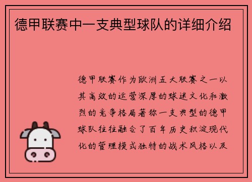 德甲联赛中一支典型球队的详细介绍