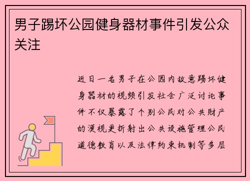 男子踢坏公园健身器材事件引发公众关注